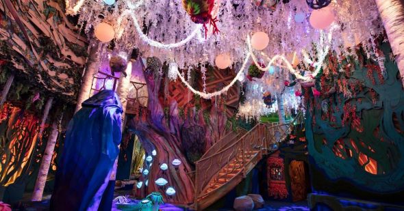 미 아우 울프 사진